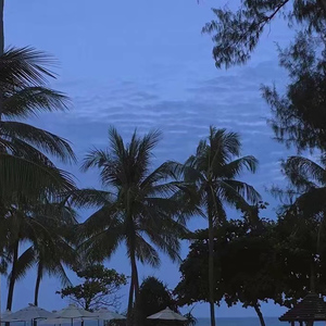 老挝裸休美女撒尿露脸视频
