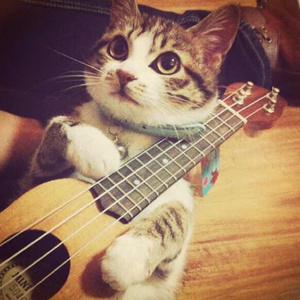 老挝裸休美女撒尿露脸视频
