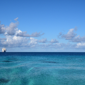 老挝裸休美女撒尿露脸视频
