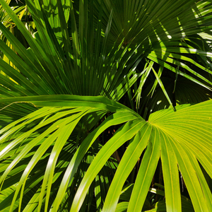 老挝裸休美女撒尿露脸视频
